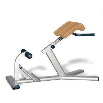 Тренажерный зал Тренажерный зал Упражнение для мышц спины Римский стул Удлинитель спины для продажи