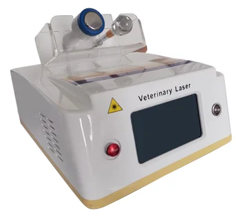 Лазерное оборудование Ветеринарное использование Холодный лазерный лазер 960 Нм Ветеринарные и крупные животные Терапевтическое устройство лазерной терапии уровня Lase Rlow